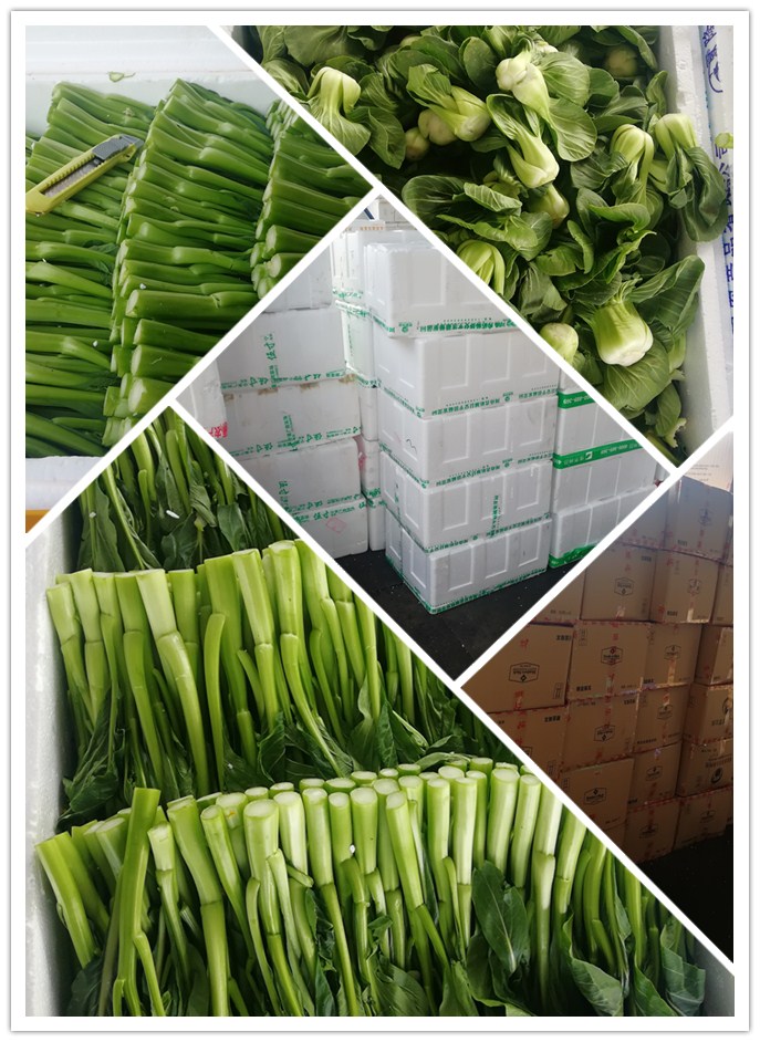 中国·6163天河(股份)有限公司-官方网站