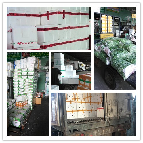 中国·6163天河(股份)有限公司-官方网站