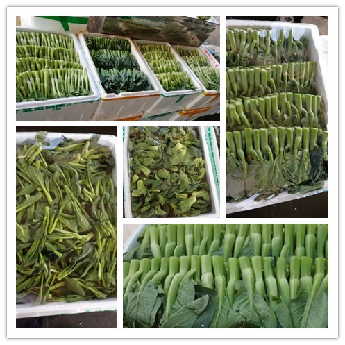 中国·6163天河(股份)有限公司-官方网站