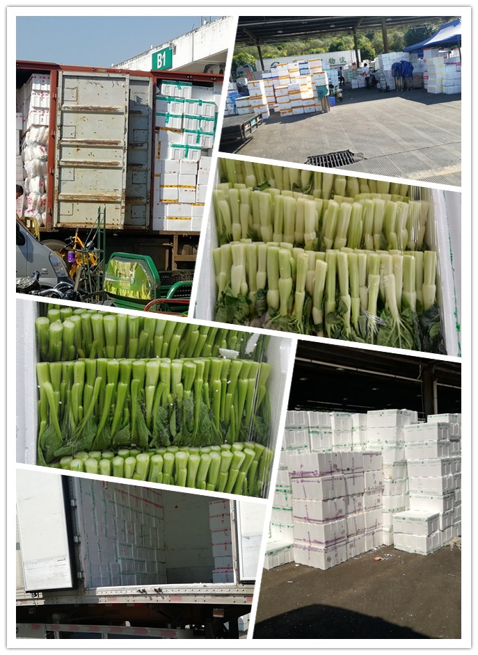 中国·6163天河(股份)有限公司-官方网站