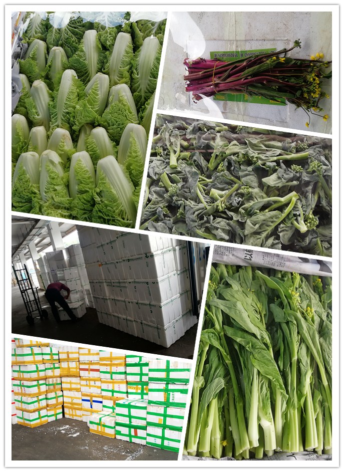 中国·6163天河(股份)有限公司-官方网站