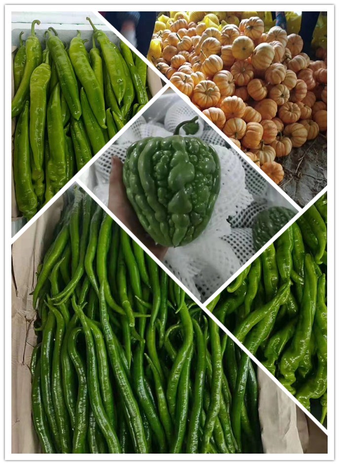 中国·6163天河(股份)有限公司-官方网站