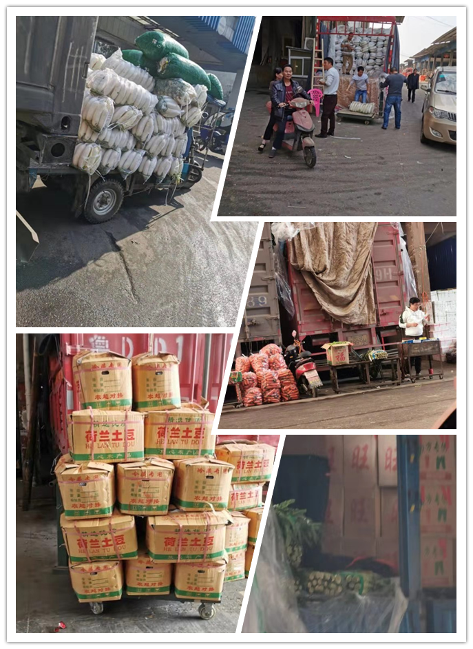 中国·6163天河(股份)有限公司-官方网站