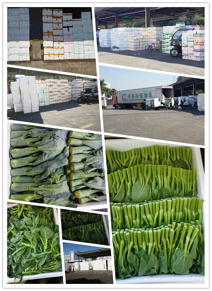 中国·6163天河(股份)有限公司-官方网站