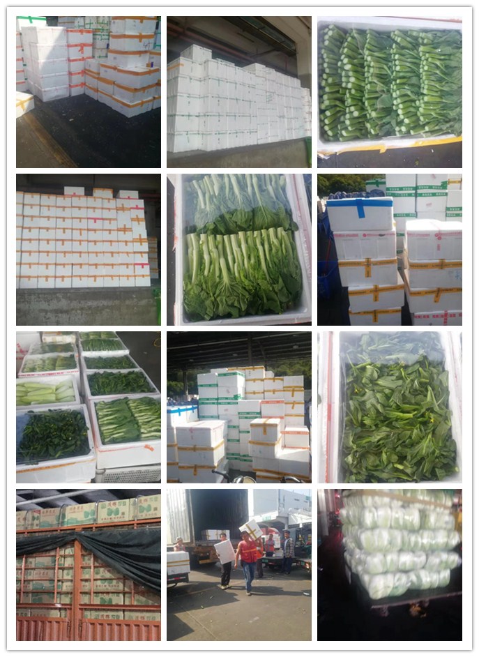 中国·6163天河(股份)有限公司-官方网站