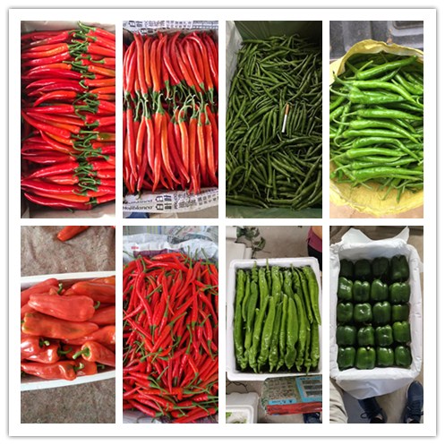 中国·6163天河(股份)有限公司-官方网站