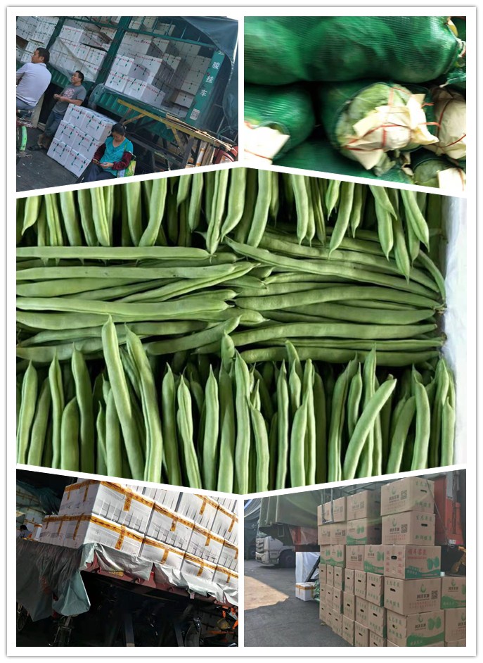 中国·6163天河(股份)有限公司-官方网站