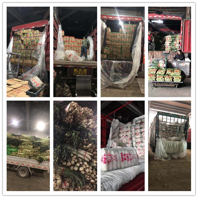 中国·6163天河(股份)有限公司-官方网站