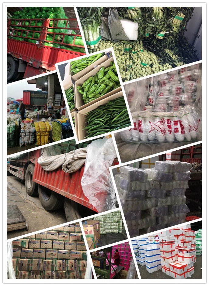 中国·6163天河(股份)有限公司-官方网站