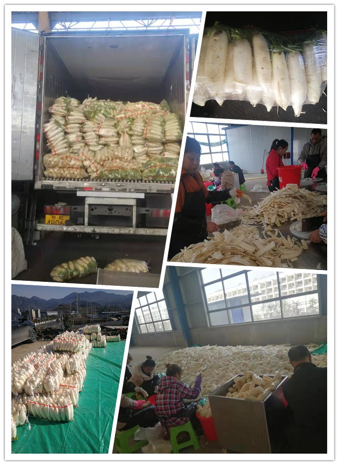 中国·6163天河(股份)有限公司-官方网站