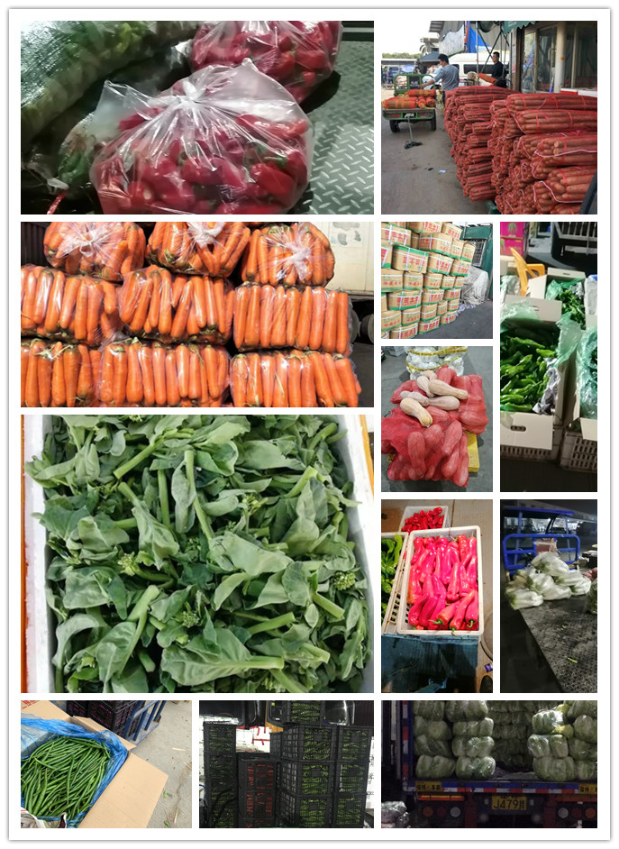 中国·6163天河(股份)有限公司-官方网站