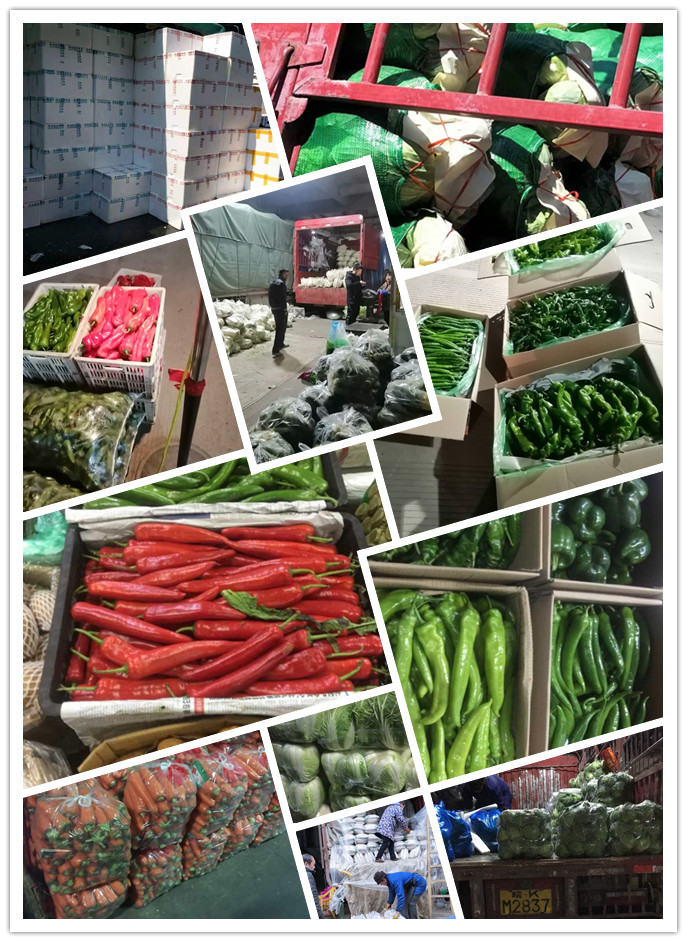 中国·6163天河(股份)有限公司-官方网站