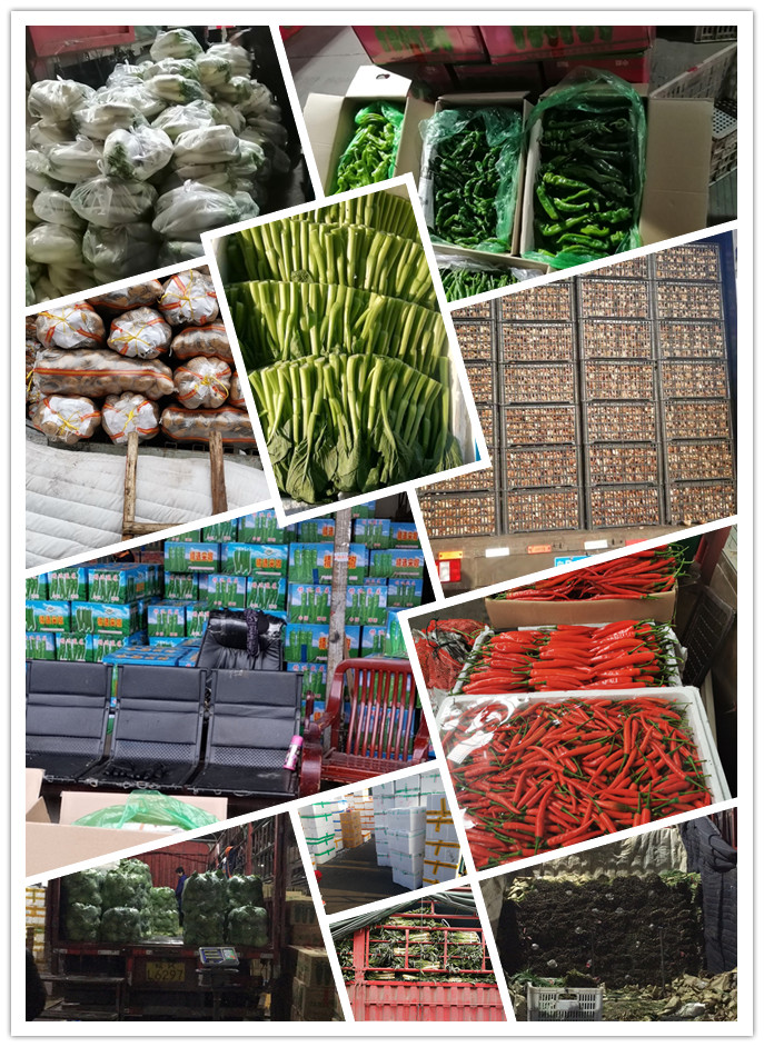 中国·6163天河(股份)有限公司-官方网站