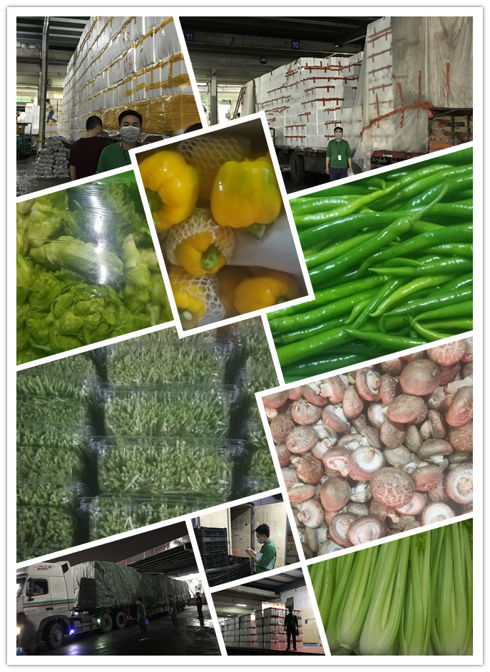 中国·6163天河(股份)有限公司-官方网站