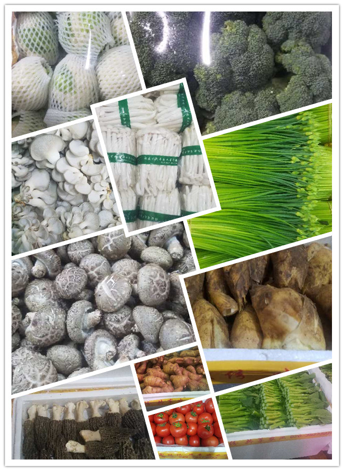 中国·6163天河(股份)有限公司-官方网站