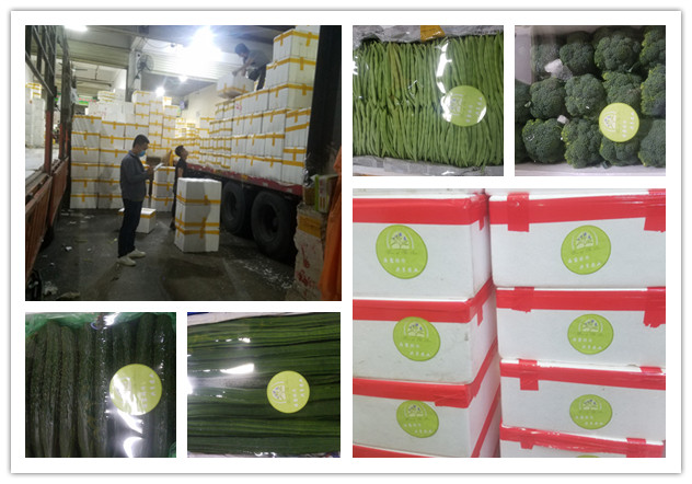 中国·6163天河(股份)有限公司-官方网站