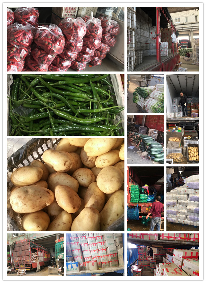 中国·6163天河(股份)有限公司-官方网站