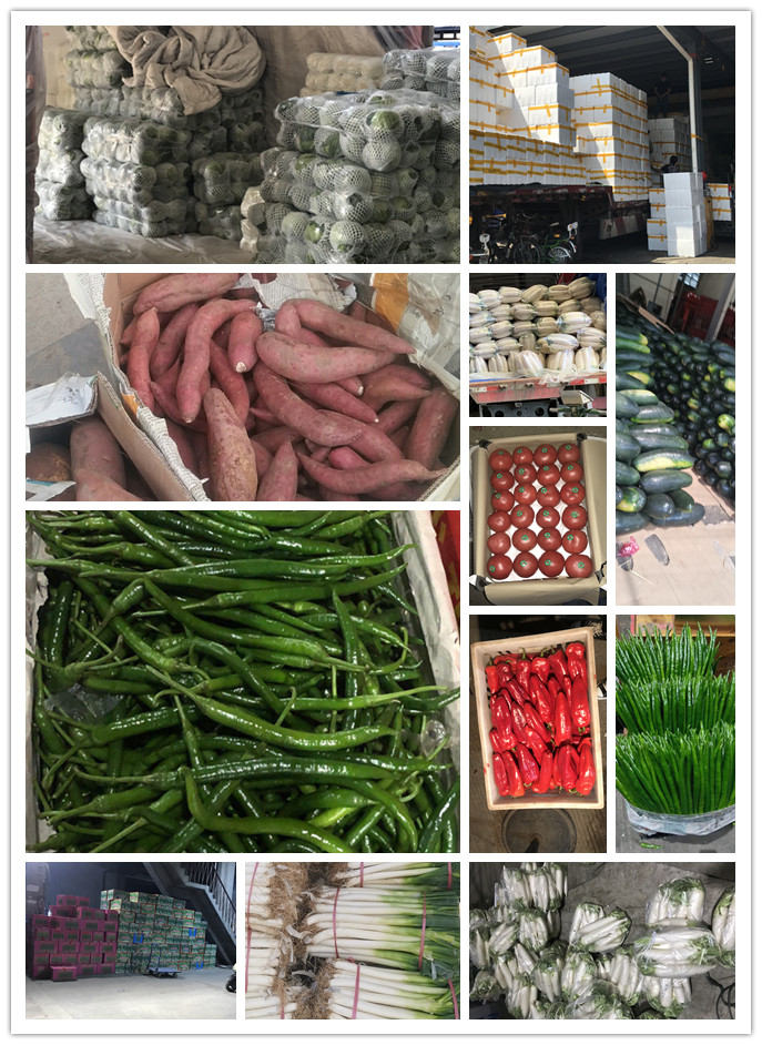 中国·6163天河(股份)有限公司-官方网站