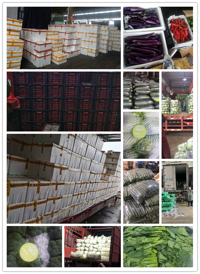 中国·6163天河(股份)有限公司-官方网站