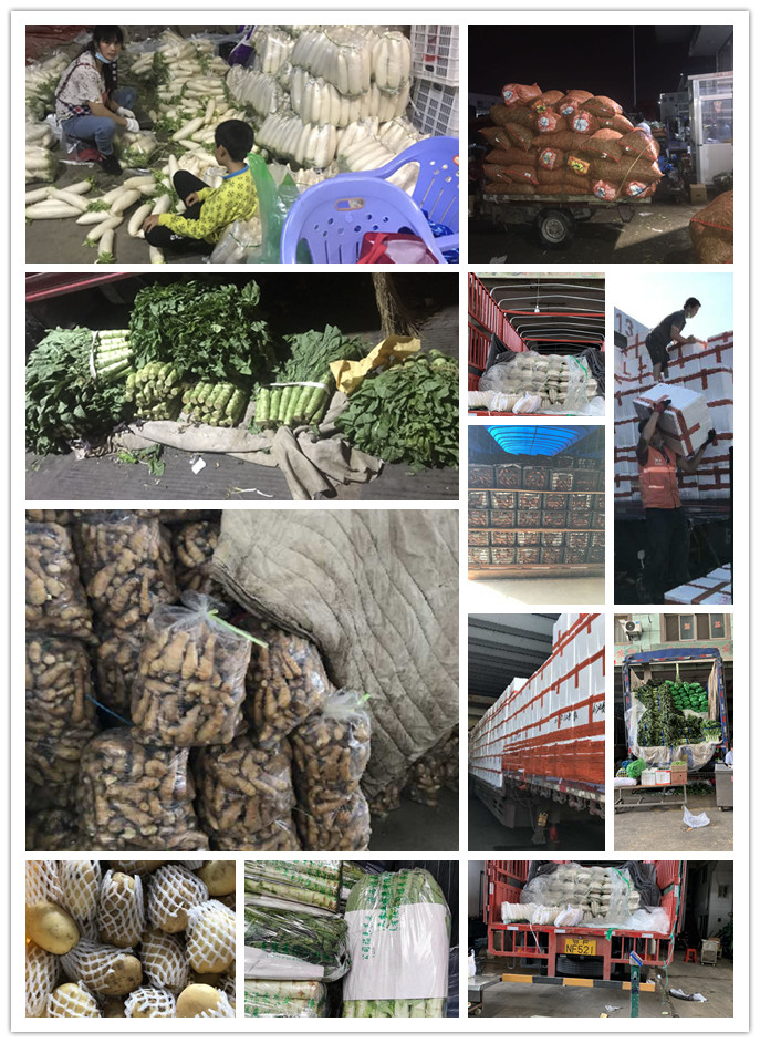 中国·6163天河(股份)有限公司-官方网站