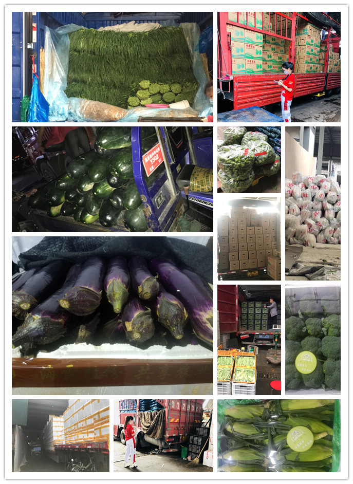 中国·6163天河(股份)有限公司-官方网站