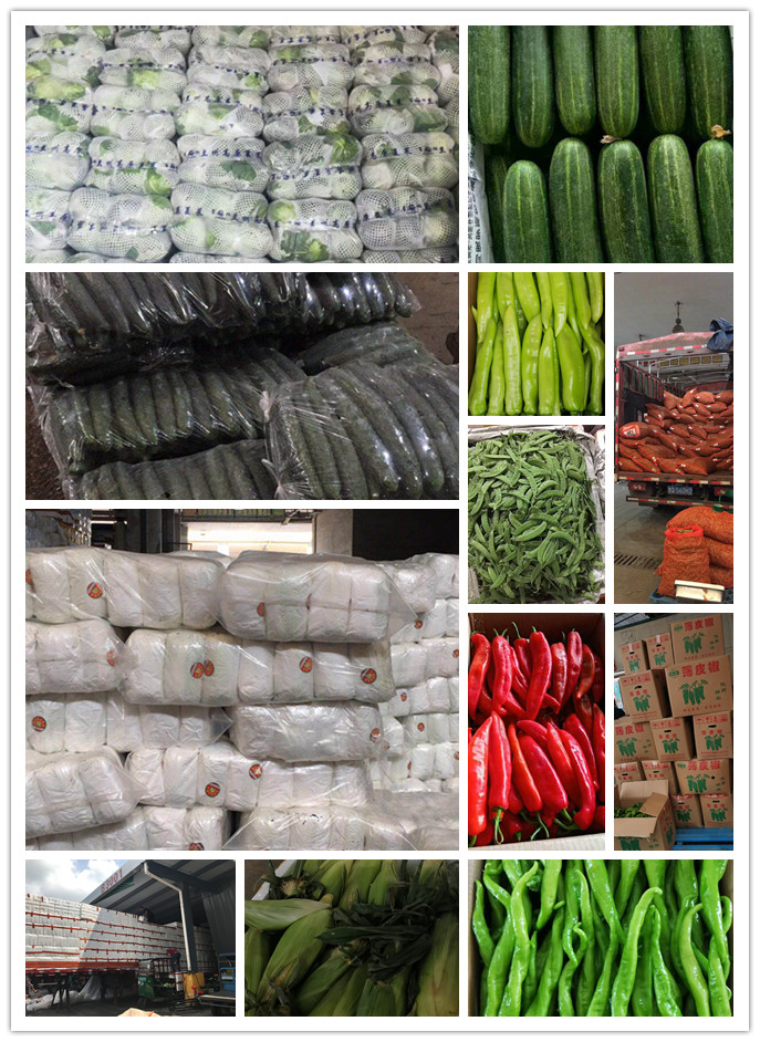 中国·6163天河(股份)有限公司-官方网站