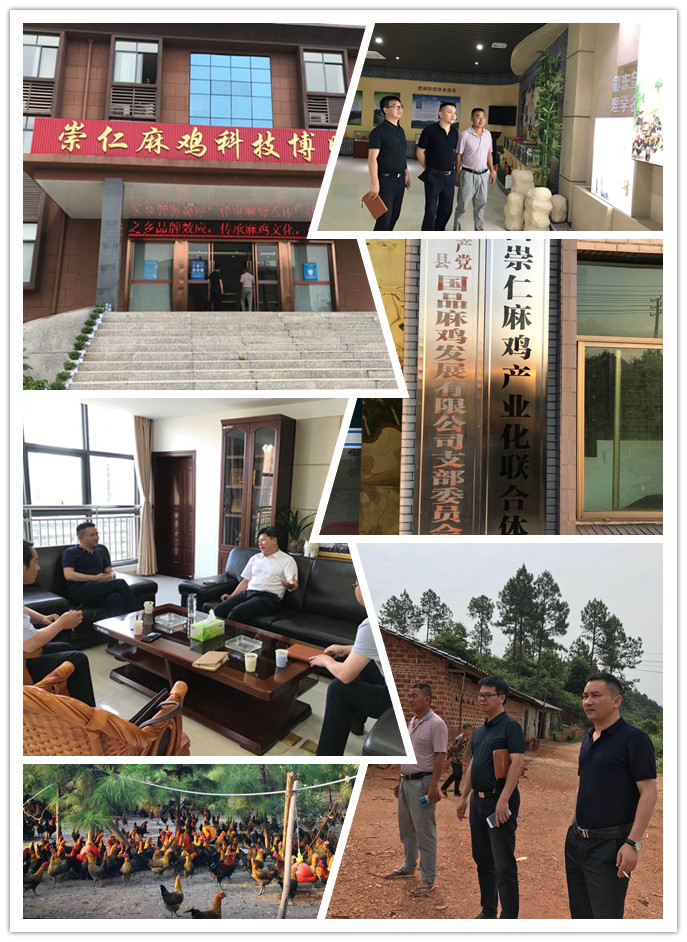 中国·6163天河(股份)有限公司-官方网站