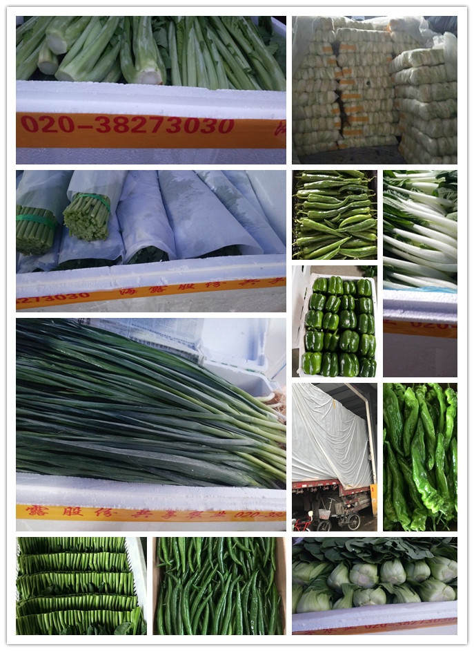 中国·6163天河(股份)有限公司-官方网站