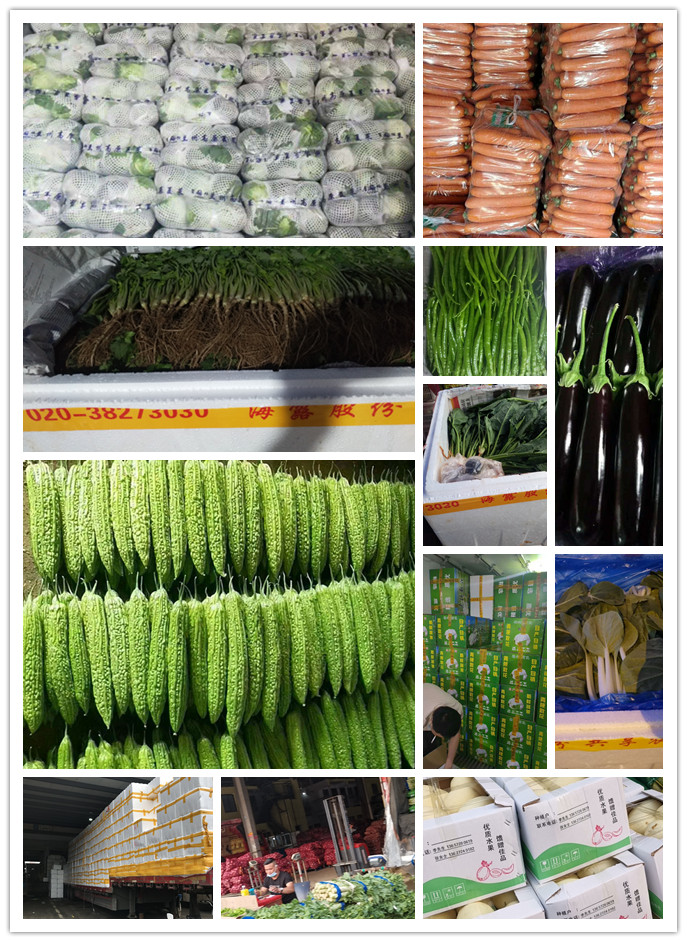 中国·6163天河(股份)有限公司-官方网站