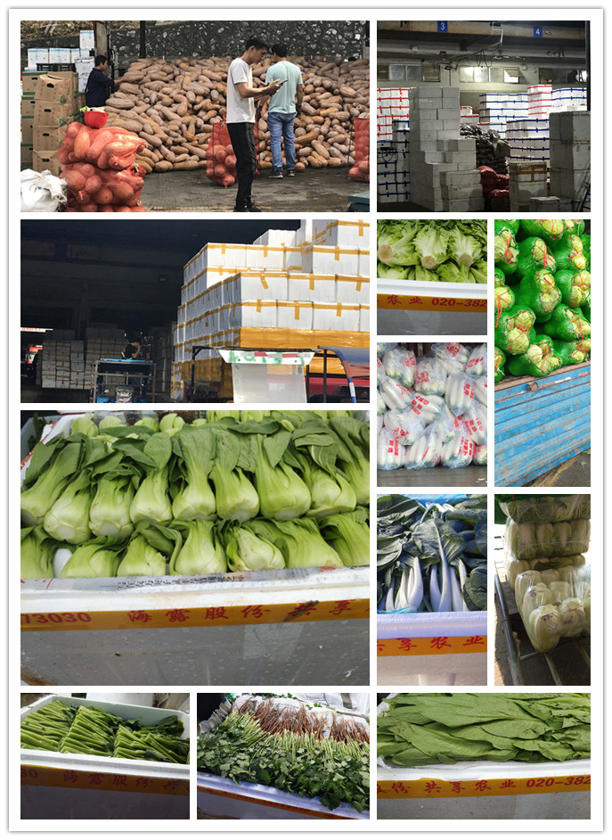 中国·6163天河(股份)有限公司-官方网站