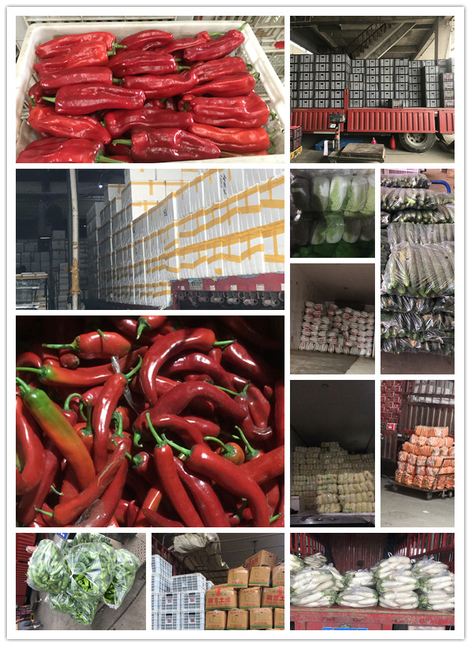 中国·6163天河(股份)有限公司-官方网站