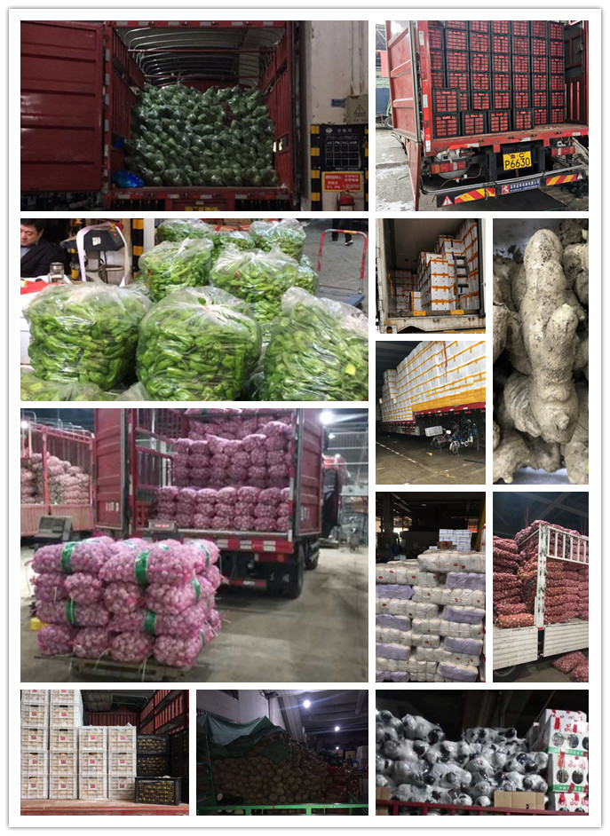 中国·6163天河(股份)有限公司-官方网站