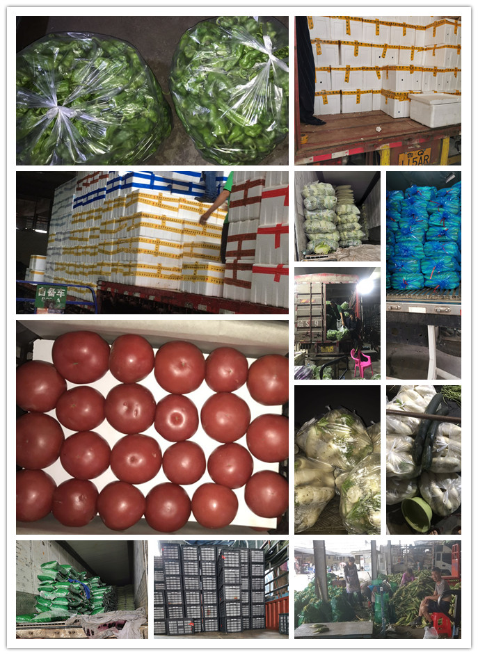 中国·6163天河(股份)有限公司-官方网站