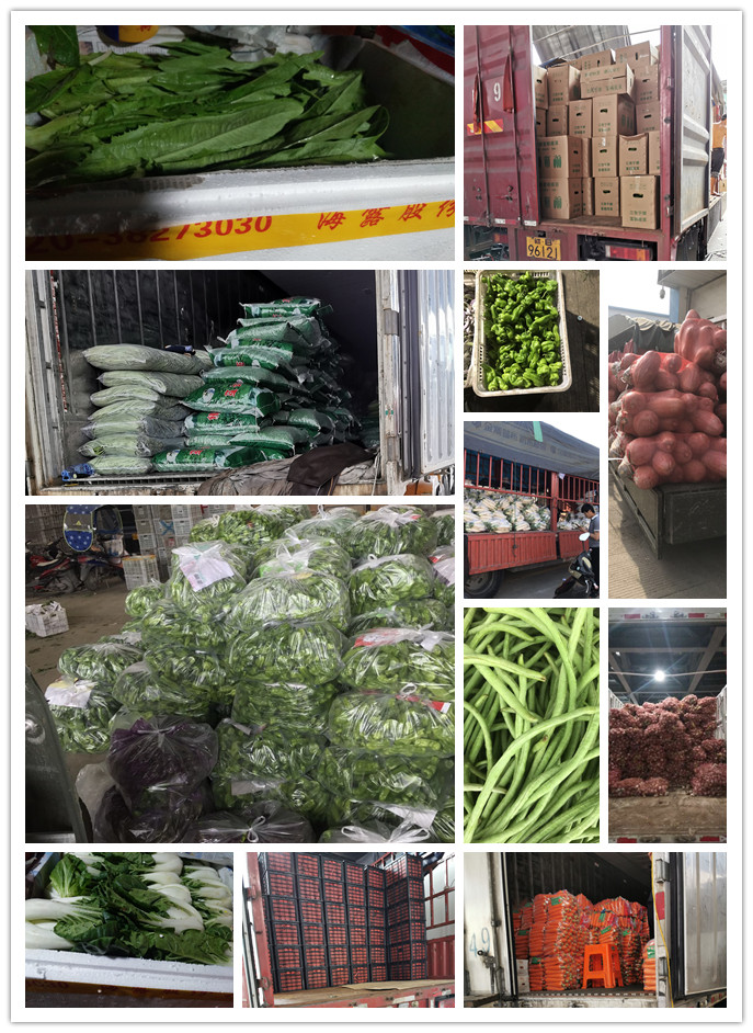 中国·6163天河(股份)有限公司-官方网站