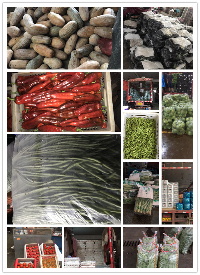 中国·6163天河(股份)有限公司-官方网站