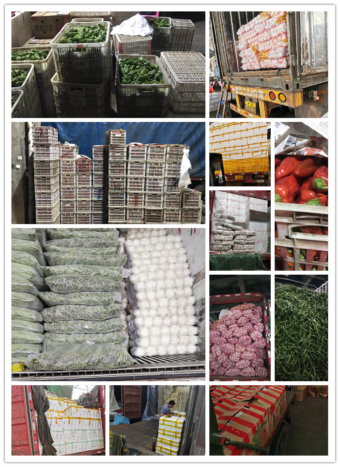 中国·6163天河(股份)有限公司-官方网站