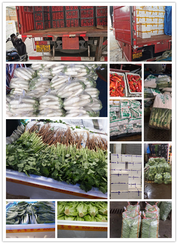 中国·6163天河(股份)有限公司-官方网站