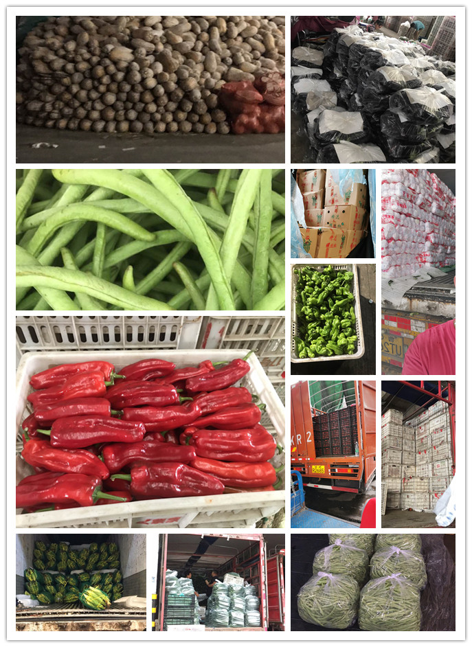 中国·6163天河(股份)有限公司-官方网站