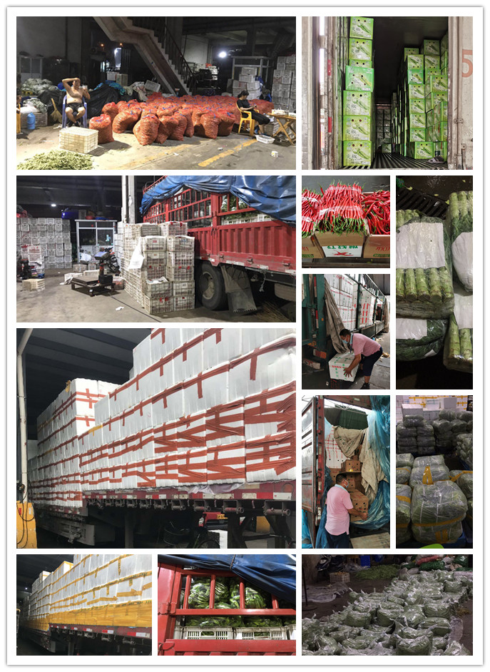 中国·6163天河(股份)有限公司-官方网站