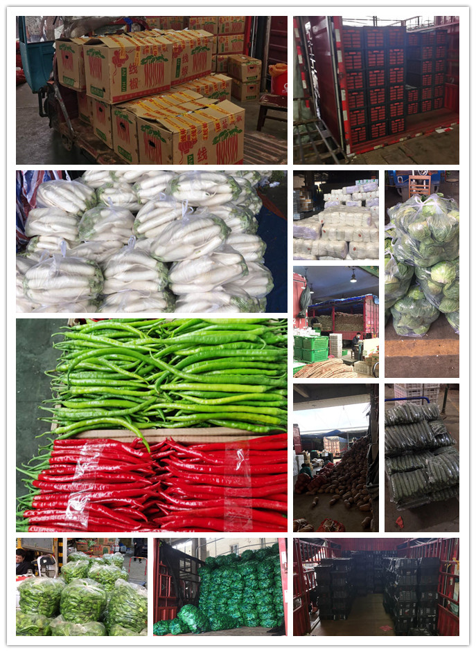 中国·6163天河(股份)有限公司-官方网站