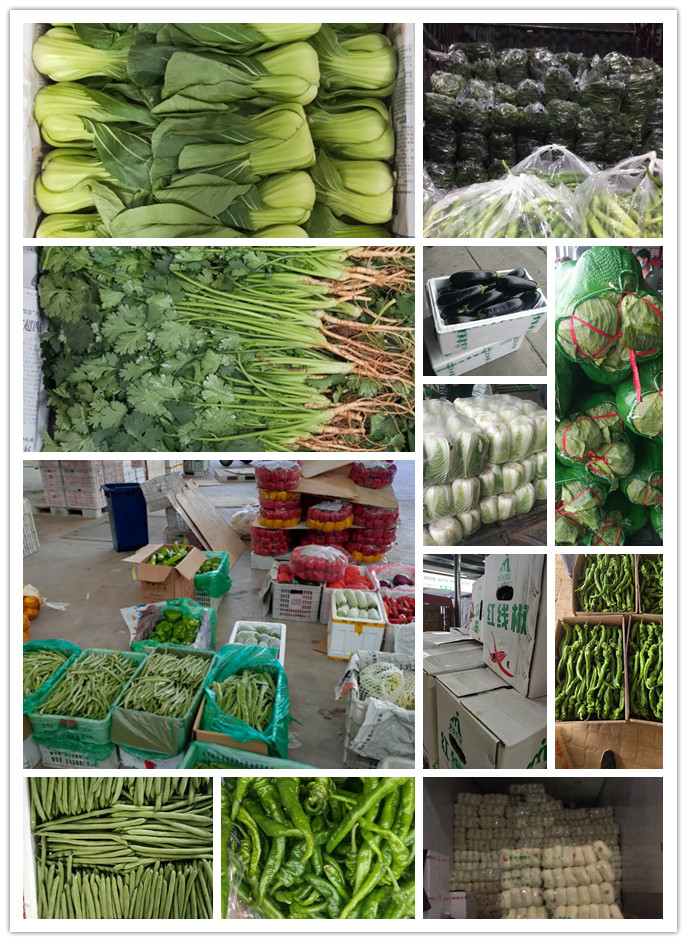 中国·6163天河(股份)有限公司-官方网站