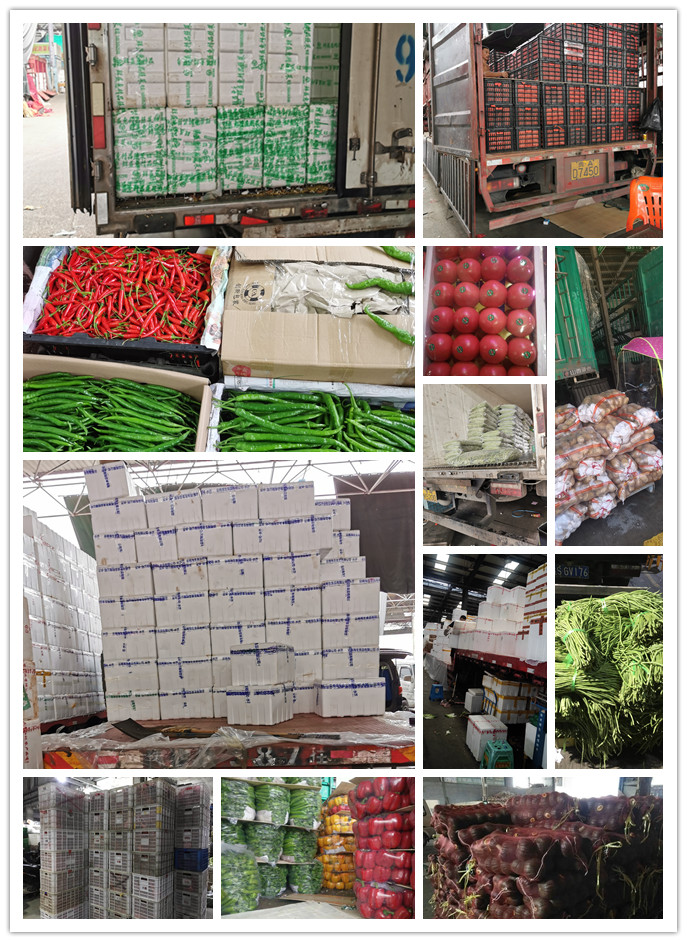 中国·6163天河(股份)有限公司-官方网站