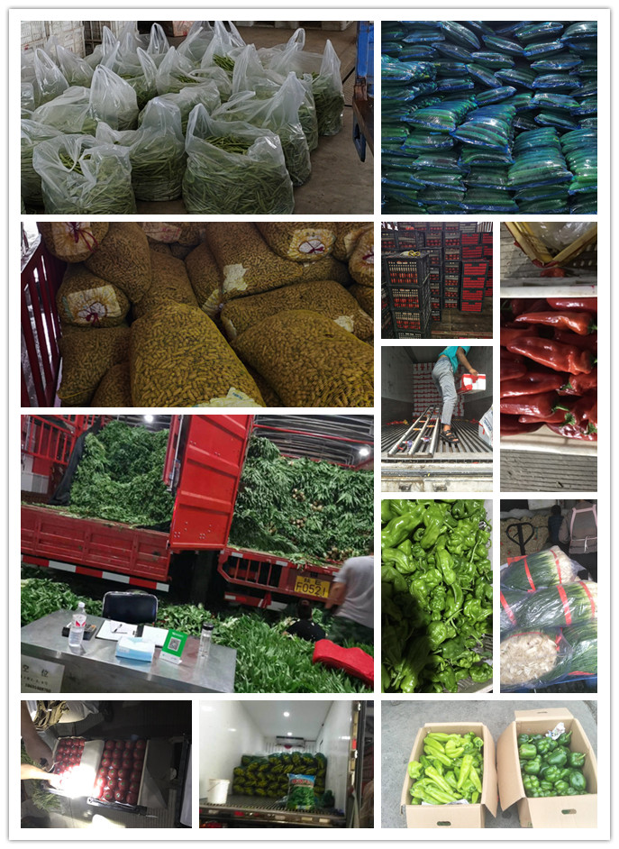 中国·6163天河(股份)有限公司-官方网站