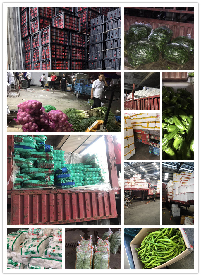 中国·6163天河(股份)有限公司-官方网站