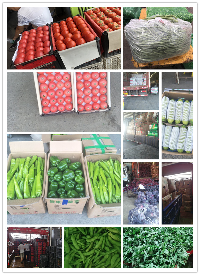 中国·6163天河(股份)有限公司-官方网站