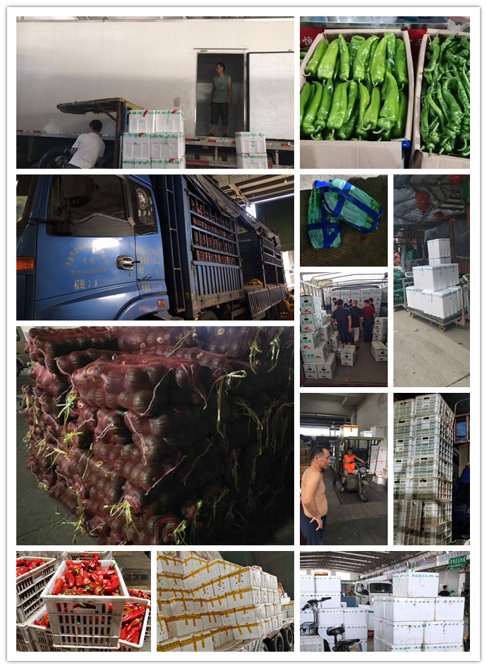 中国·6163天河(股份)有限公司-官方网站