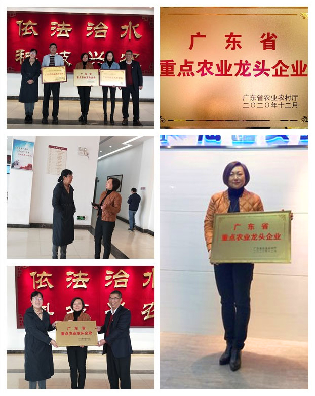 中国·6163天河(股份)有限公司-官方网站