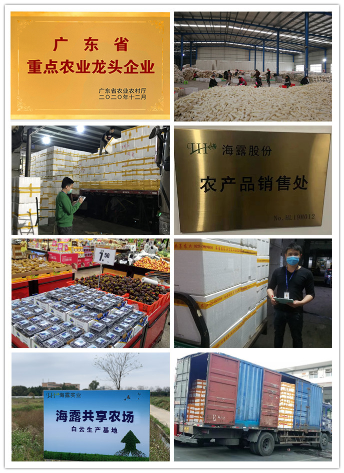 中国·6163天河(股份)有限公司-官方网站