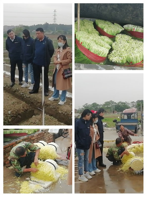 中国·6163天河(股份)有限公司-官方网站