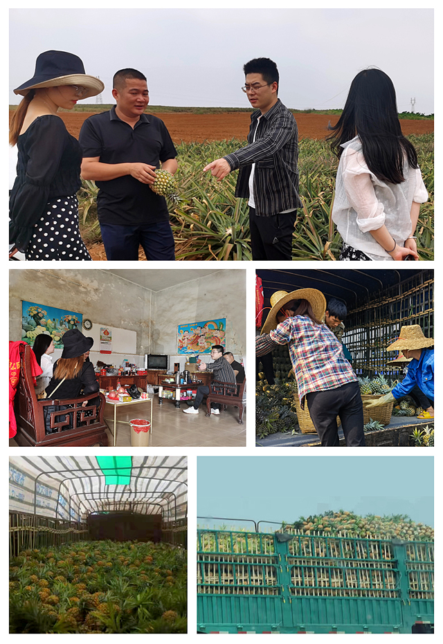 中国·6163天河(股份)有限公司-官方网站